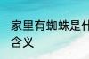 家里有蜘蛛是什么兆头 家里有蜘蛛的含义
