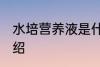 水培营养液是什么 水培营养液简单介绍