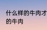 什么样的牛肉才是好牛肉 如何选择好的牛肉