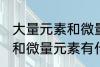 大量元素和微量元素有哪些 大量元素和微量元素有什么