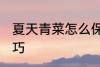 夏天青菜怎么保鲜 夏天青菜的保鲜技巧