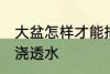 大盆怎样才能把花浇透水呢 如何给花浇透水