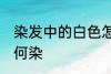 染发中的白色怎么染 染发中的白色如何染