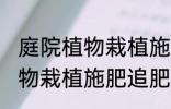 庭院植物栽植施肥追肥要注意什么 植物栽植施肥追肥要注意什么