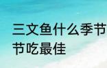 三文鱼什么季节吃最好 三文鱼哪个季节吃最佳