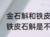 金石斛和铁皮石斛是一种吗 金石斛和铁皮石斛是不是同类