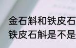 金石斛和铁皮石斛是一种吗 金石斛和铁皮石斛是不是同类