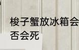 梭子蟹放冰箱会死吗 梭子蟹放冰箱是否会死