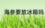 海参要放冰箱吗 海参需要放冰箱吗