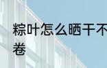 粽叶怎么晒干不卷 粽叶该怎么晒才不卷