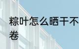 粽叶怎么晒干不卷 粽叶该怎么晒才不卷