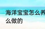 海洋宝宝怎么养才更大 海洋宝宝是什么做的