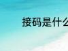 接码是什么意思 接码的解释