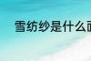雪纺纱是什么面料 什么是雪纺纱