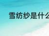雪纺纱是什么面料 什么是雪纺纱