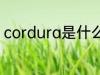 cordura是什么面料 cordura的解释