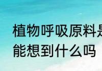 植物呼吸原料是什么 植物呼吸原料你能想到什么吗