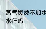 蒸气熨烫不加水可以吗 蒸气熨烫不加水行吗