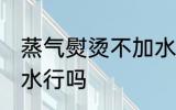 蒸气熨烫不加水可以吗 蒸气熨烫不加水行吗
