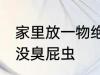 家里放一物绝对没臭屁虫 家里放什么没臭屁虫