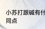 小苏打跟碱有什么区别 小苏打跟碱不同点