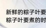 新鲜的粽子叶要煮多久才能用 新鲜的粽子叶要煮的时长