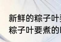 新鲜的粽子叶要煮多久才能用 新鲜的粽子叶要煮的时长