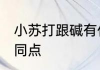 小苏打跟碱有什么区别 小苏打跟碱不同点