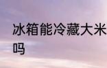 冰箱能冷藏大米吗 冰箱可以冷藏大米吗