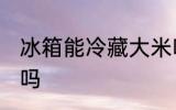 冰箱能冷藏大米吗 冰箱可以冷藏大米吗