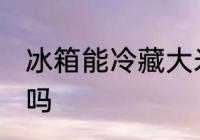 冰箱能冷藏大米吗 冰箱可以冷藏大米吗