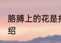 胳膊上的花是打了什么疫苗 卡介苗介绍