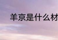 羊京是什么材质 羊京是哪种面料
