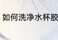 如何洗净水杯胶圈 洗净水杯胶圈方法