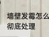 墙壁发霉怎么处理根治 墙体发霉怎样彻底处理