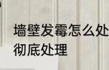 墙壁发霉怎么处理根治 墙体发霉怎样彻底处理