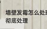 墙壁发霉怎么处理根治 墙体发霉怎样彻底处理