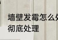 墙壁发霉怎么处理根治 墙体发霉怎样彻底处理
