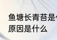 鱼塘长青苔是什么原因 鱼塘长青苔的原因是什么