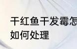 干红鱼干发霉怎么处理 干红鱼干发霉如何处理
