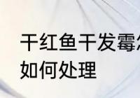 干红鱼干发霉怎么处理 干红鱼干发霉如何处理