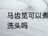 马齿笕可以煮水洗头吗 马齿笕能煮水洗头吗