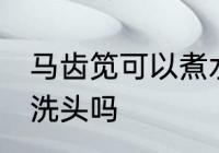 马齿笕可以煮水洗头吗 马齿笕能煮水洗头吗