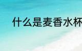 什么是麦香水杯 麦香水杯是什么
