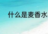 什么是麦香水杯 麦香水杯是什么
