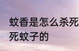 蚊香是怎么杀死蚊子的 蚊香是如何杀死蚊子的