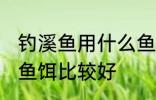 钓溪鱼用什么鱼饵最好 钓溪鱼用哪些鱼饵比较好