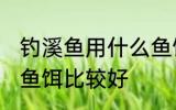 钓溪鱼用什么鱼饵最好 钓溪鱼用哪些鱼饵比较好