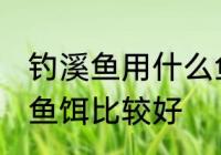 钓溪鱼用什么鱼饵最好 钓溪鱼用哪些鱼饵比较好