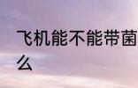 飞机能不能带菌子 飞机可以带野生菌么